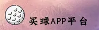 使用指南与常见问题